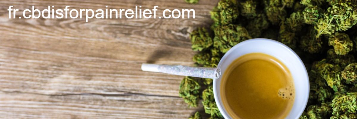 fr.cbdisforpainrelief.com